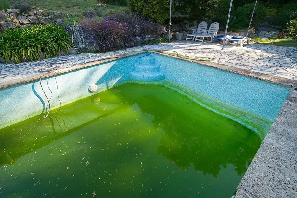Pourquoi votre piscine tourne au vert malgré un traitement maison régulier ?
